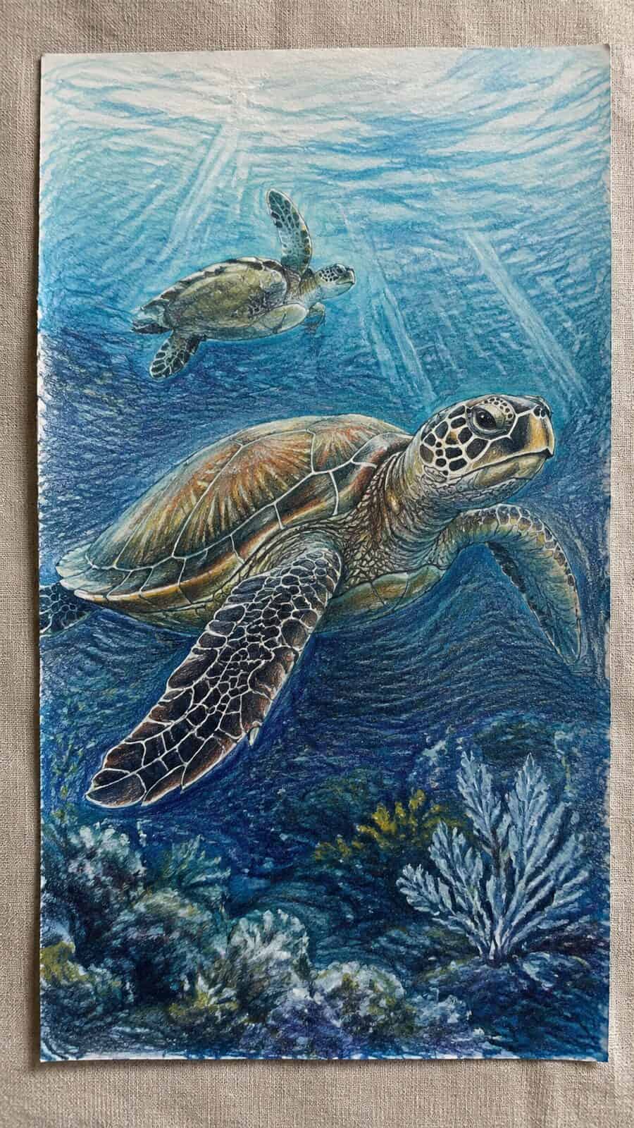 Hand-drawn majestic sea turtles in colored-pencil and gouache drawing on textured paper, shown in a close overhead crop — study 3
