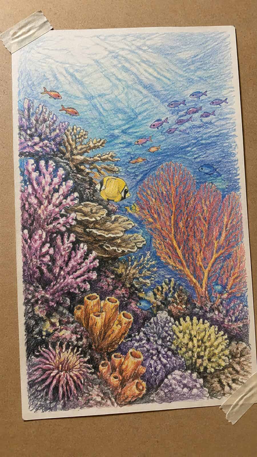 Hand-drawn coral reef colors in graphite drawing on textured paper, shown in a slightly off-center overhead composition, like an — study 1
