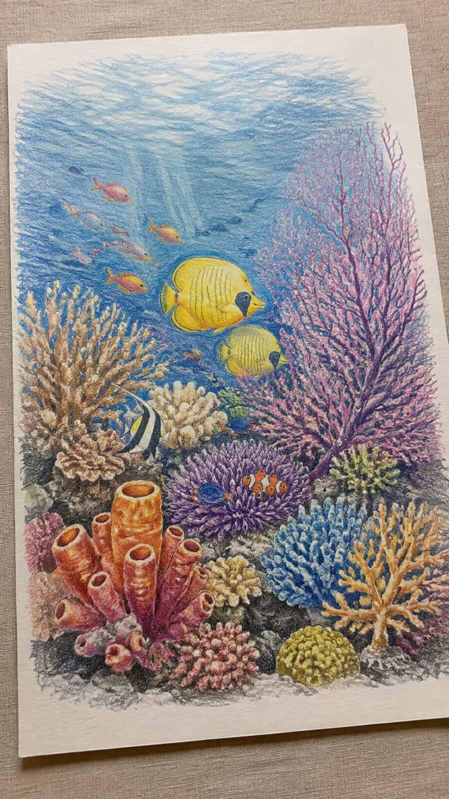 Hand-drawn coral reef colors in graphite drawing on textured paper, shown in a gentle oblique desk view that shows paper tooth and — study 3