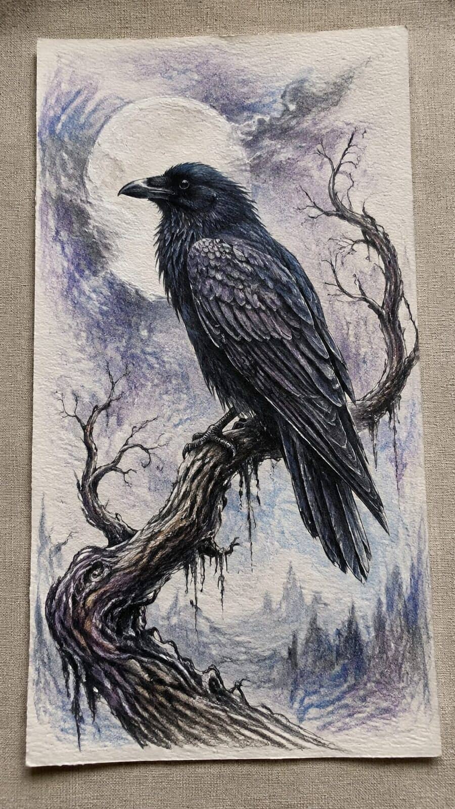 Hand-drawn mystical raven’s perch in colored-pencil and gouache drawing on textured paper, shown in a slightly off-center overhead — study 3