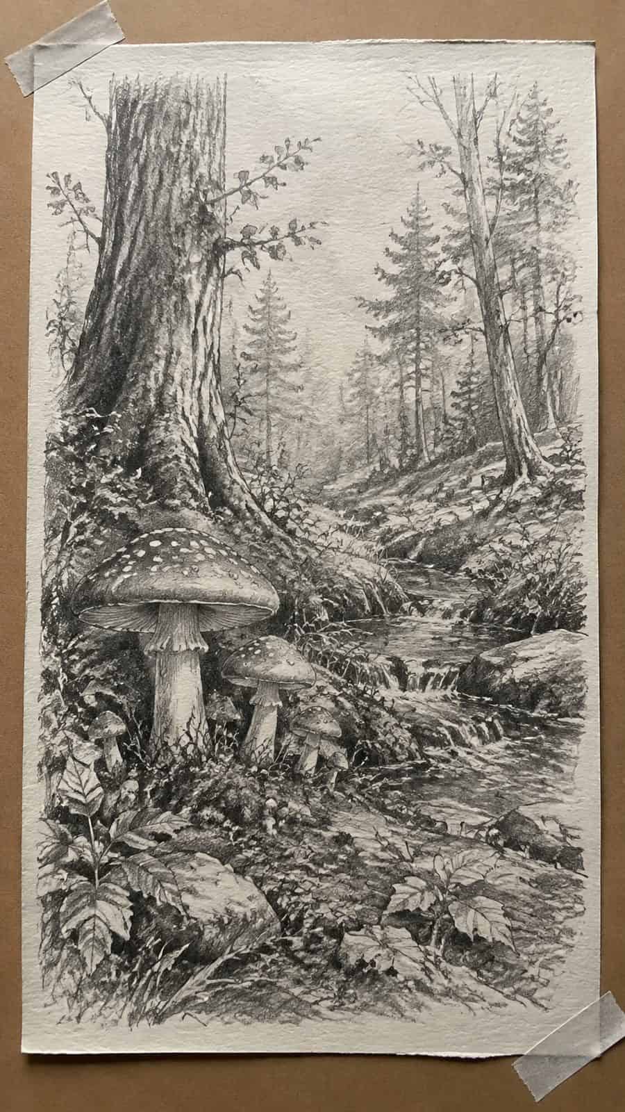 Mushroom Artistry: 17 Unique Drawing Ideas to Spark Your Imagination 10 Hand-drawn woodland scene with mushrooms in graphite drawing on textured paper, shown in a straight overhead view — study 1