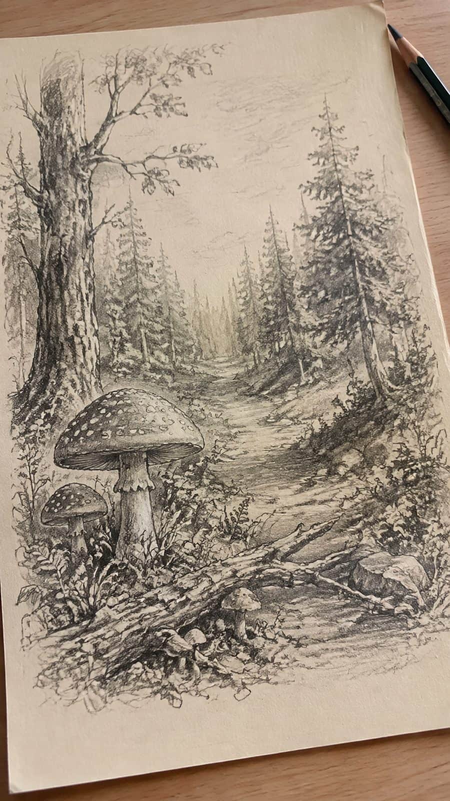 Mushroom Artistry: 17 Unique Drawing Ideas to Spark Your Imagination 11 Hand-drawn woodland scene with mushrooms in graphite drawing on textured paper, shown in a gentle oblique desk view that shows paper — study 2