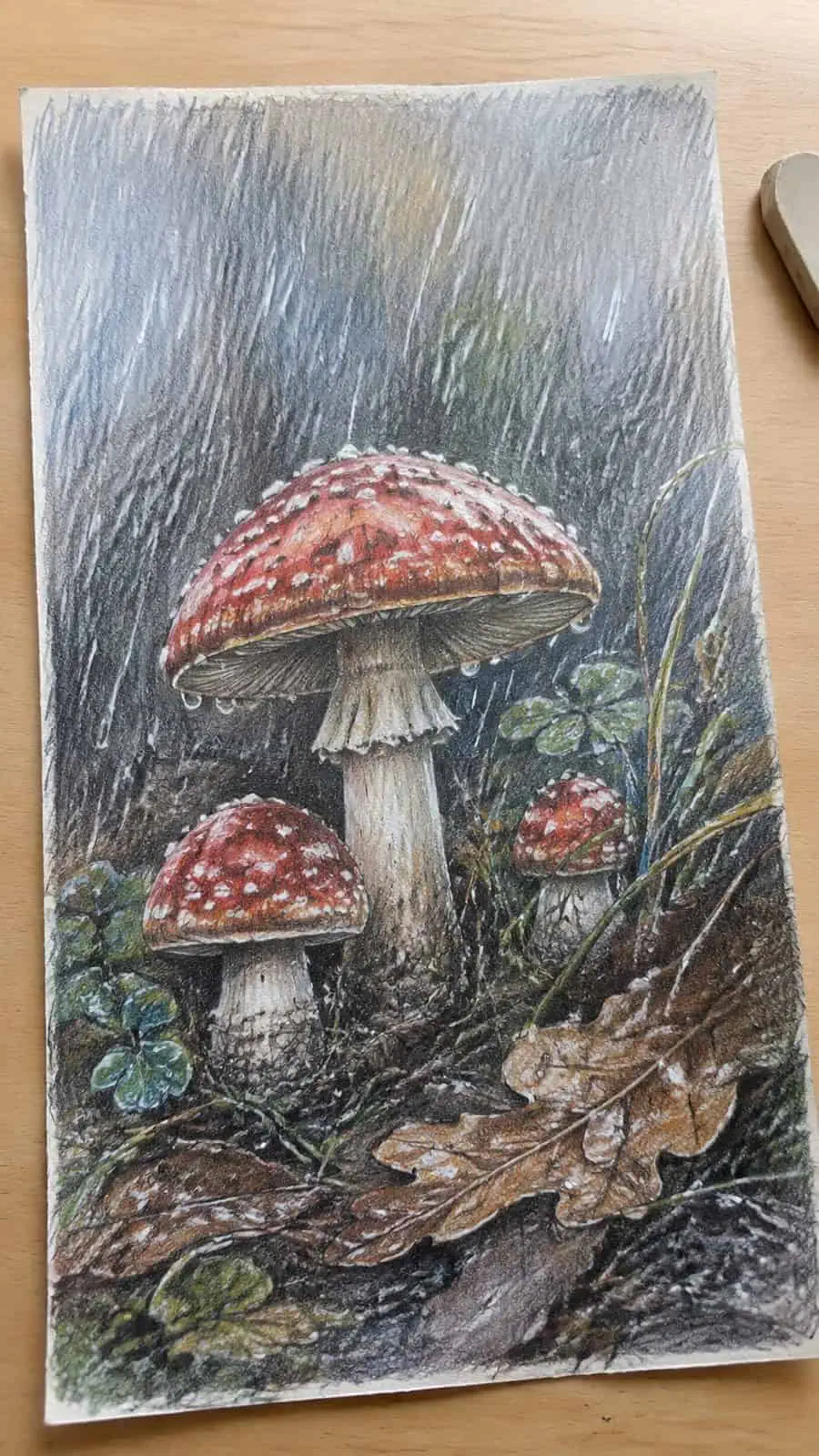 Mushroom Artistry: 17 Unique Drawing Ideas to Spark Your Imagination 18 Hand-drawn mushrooms in the rain in colored-pencil and gouache drawing on textured paper, shown in a gentle oblique desk view that — study 1