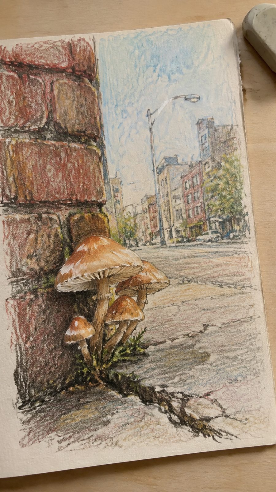 Mushroom Artistry: 17 Unique Drawing Ideas to Spark Your Imagination 38 Hand-drawn urban mushrooms in colored-pencil and gouache drawing on textured paper, shown in a close overhead crop — study 1