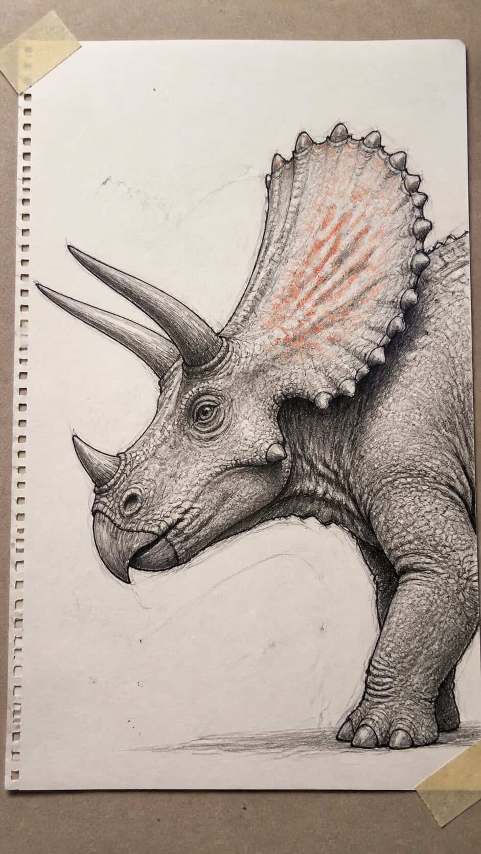 Hand-drawn triceratops profile view in mixed-media hand drawing on textured paper, shown in a straight overhead view — study 1