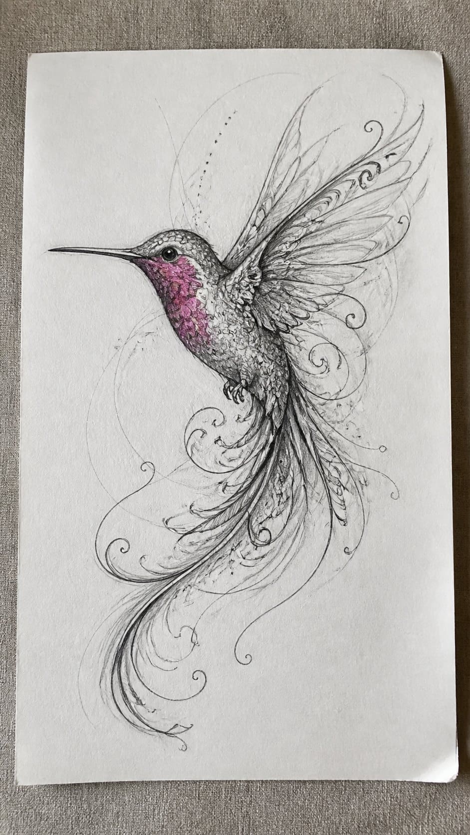 Hand-drawn fantasy hummingbird design in mixed-media hand drawing on textured paper, shown in a slightly off-center overhead — study 1