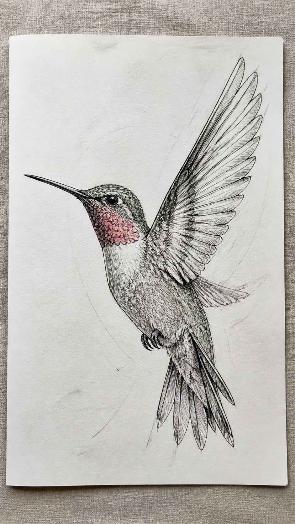 Hand-drawn hummingbird with detailed feathers in mixed-media hand drawing on textured paper, shown in a straight overhead view — study 1