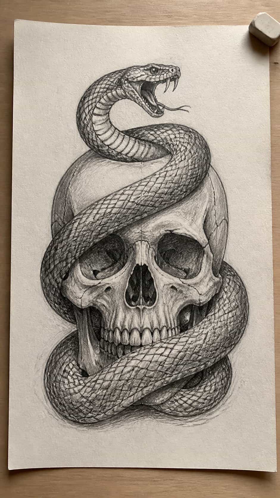 18 Snake Drawing Ideas to Slither Into Your Sketchbook 5 Hand-drawn snake and skull design in graphite drawing on textured paper, shown in a straight overhead view — study 1
