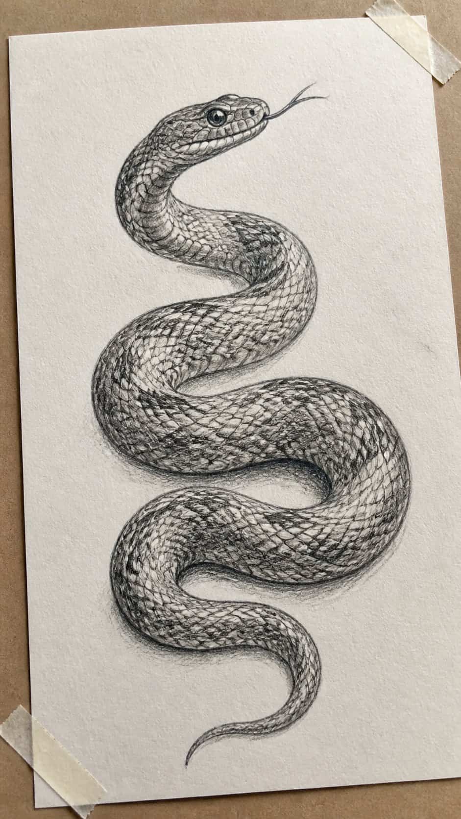 18 Snake Drawing Ideas to Slither Into Your Sketchbook 8 Hand-drawn sinuous serpent in graphite drawing on textured paper, shown in a gentle oblique desk view that shows paper tooth and — study 1