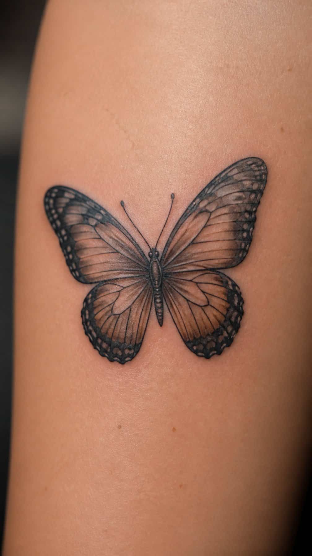 A butterfly tattoo covers a small initials tattoo on human skin.