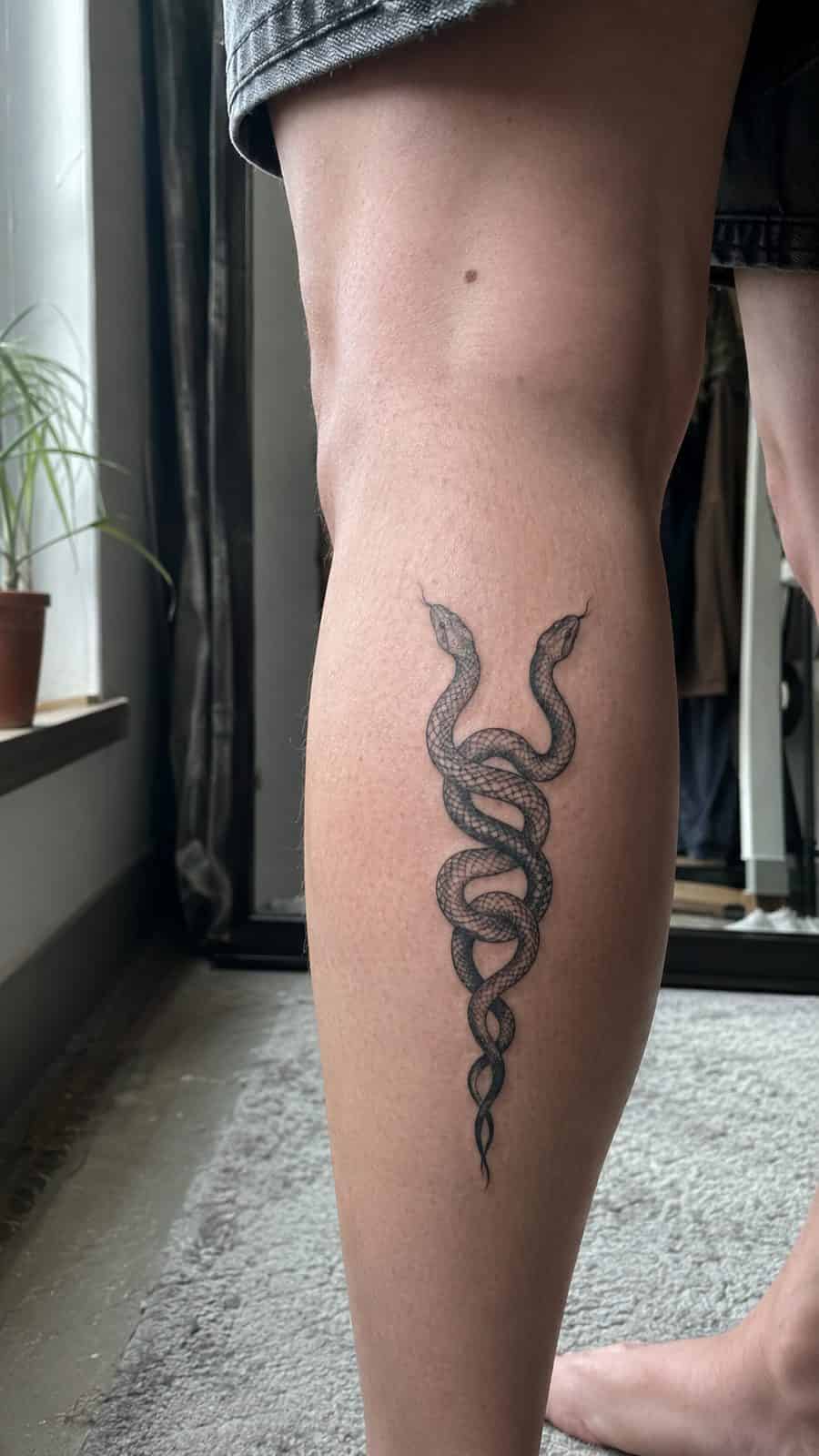 20 Edgy Grunge Tattoo Ideas for Women Who Break the Rules 46 Healed intertwined serpents tattoo on a adult woman's outer calf, photographed in a natural straight-on close view, a touch off-center — study 2