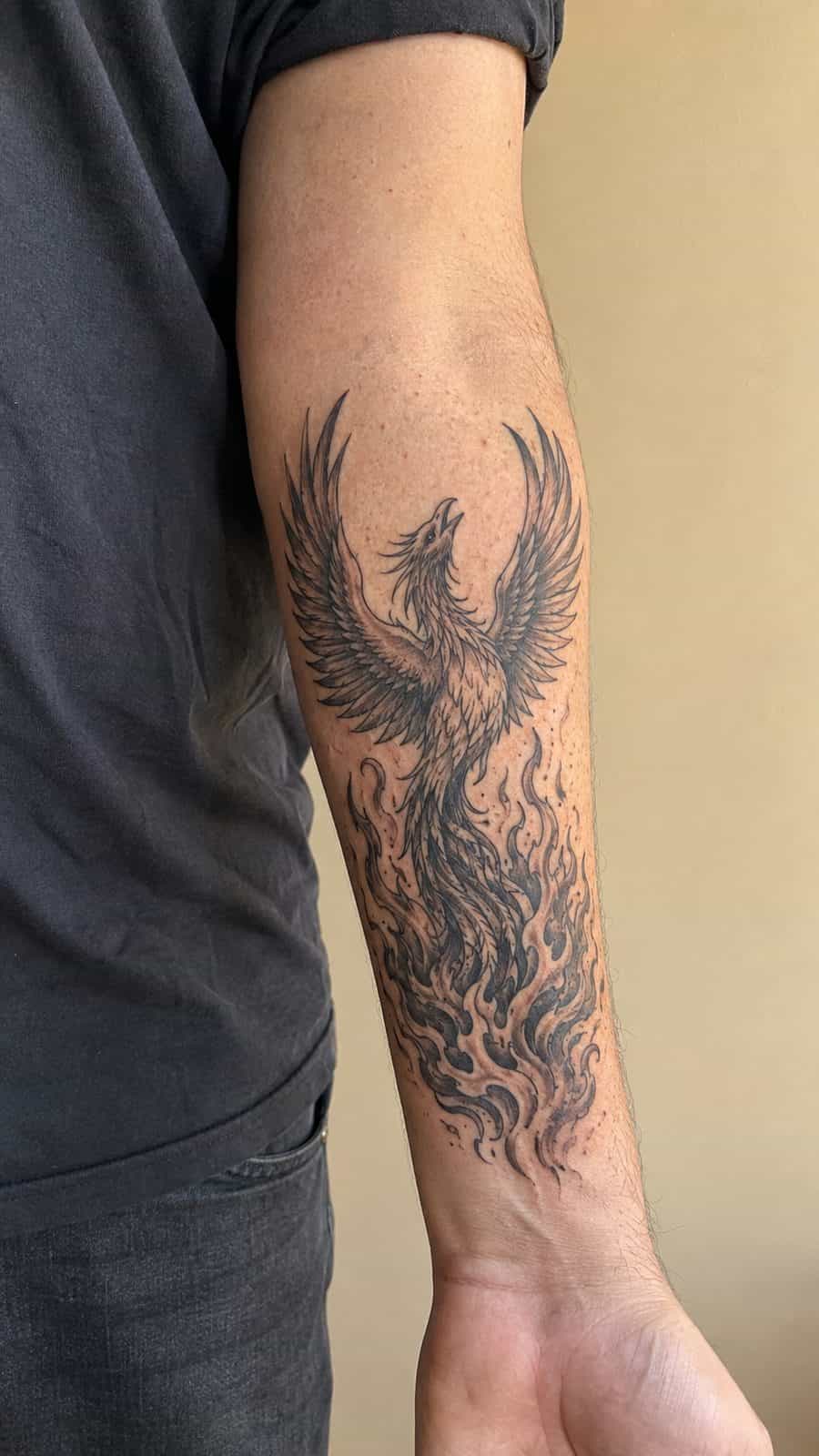 Healed phoenix rising tattoo on a adult person's inner forearm, photographed in a natural gentle side angle that clearly shows how the — study 2