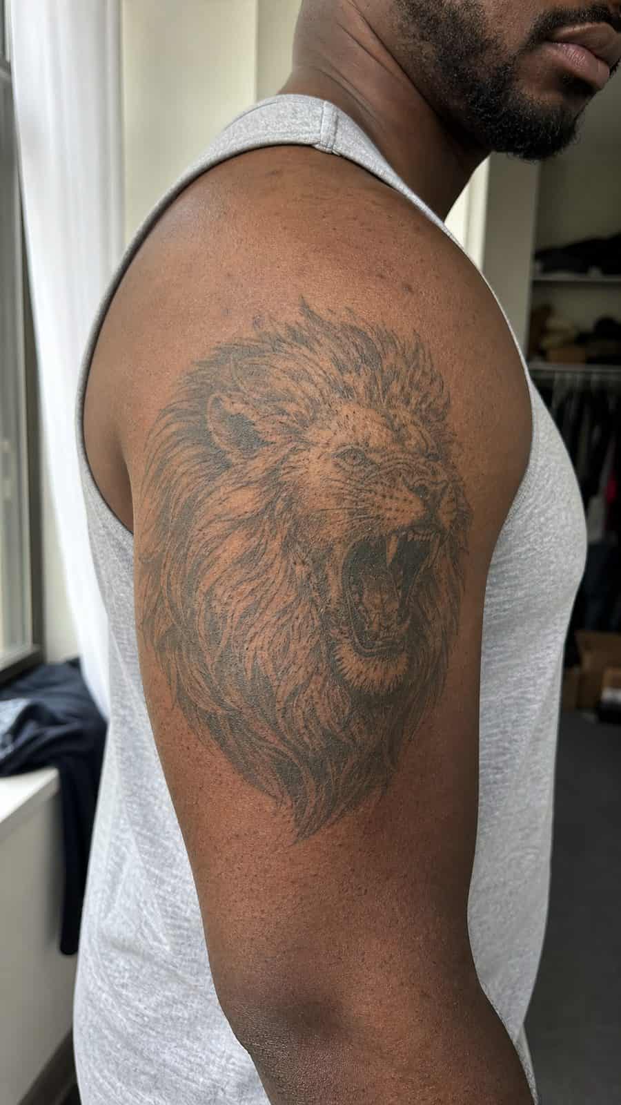 Unleash Your Inner Strength: 20 Male Lion Tattoo Ideas You Need to See 4 Healed regal roar tattoo on a adult man's outer upper arm, photographed in a natural straight-on close view, a touch off-center like a — study 3