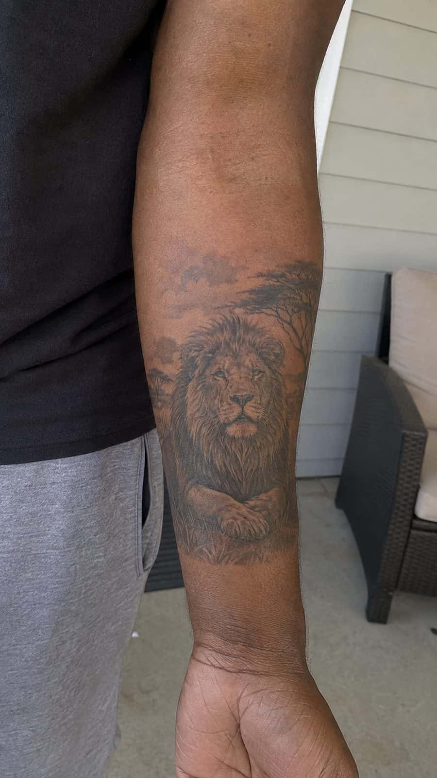 Unleash Your Inner Strength: 20 Male Lion Tattoo Ideas You Need to See 6 Healed king of the jungle tattoo on a adult man's inner forearm, photographed in a natural slightly elevated close view — study 2