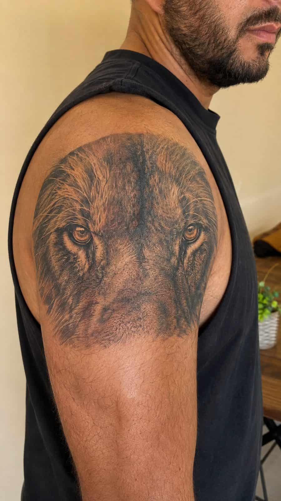 Unleash Your Inner Strength: 20 Male Lion Tattoo Ideas You Need to See 7 Healed eye of the lion tattoo on a adult man's shoulder, photographed in a natural slightly elevated close view — study 1