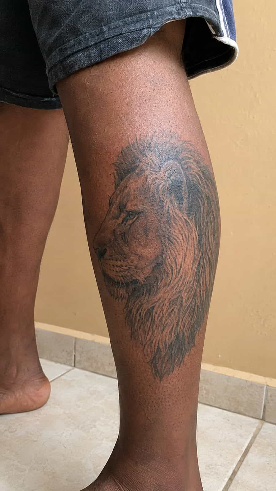 Unleash Your Inner Strength: 20 Male Lion Tattoo Ideas You Need to See 9 Healed majestic profile tattoo on a adult man's outer calf, photographed in a natural casual close three-quarter view — study 1