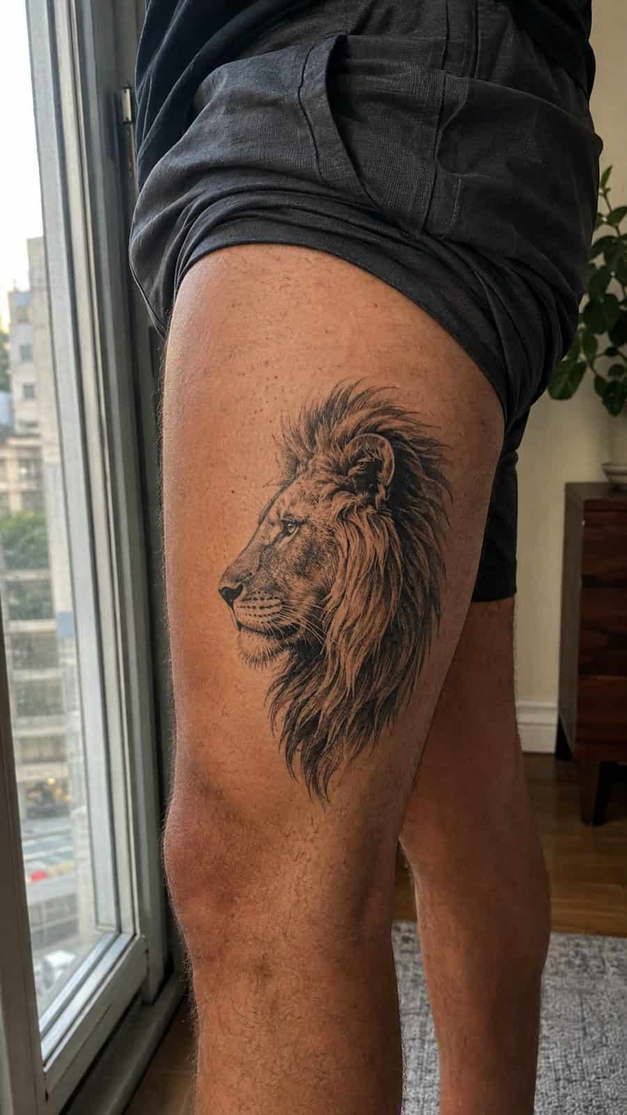 Unleash Your Inner Strength: 20 Male Lion Tattoo Ideas You Need to See 11 Healed majestic profile tattoo on a adult man's outer thigh, photographed in a natural gentle side angle that clearly shows how the — study 3
