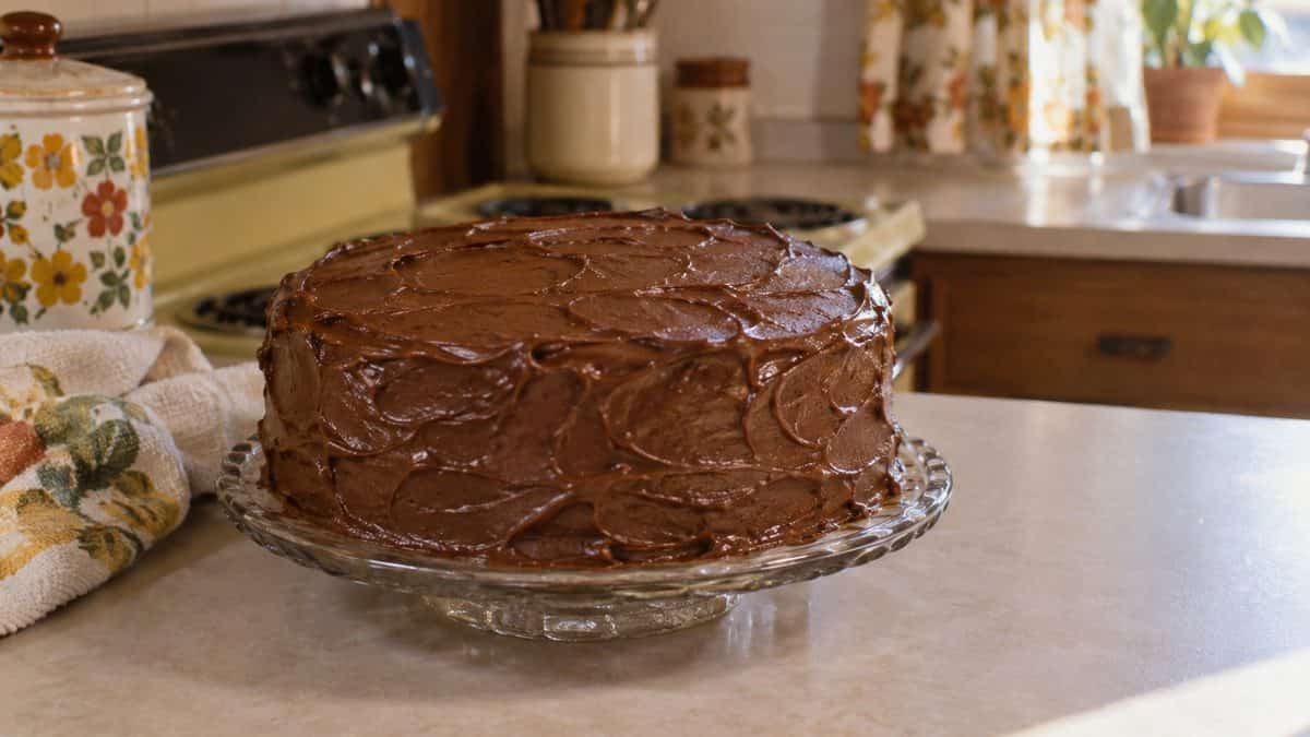 Natural photograph of a freshly baked chocolate cake