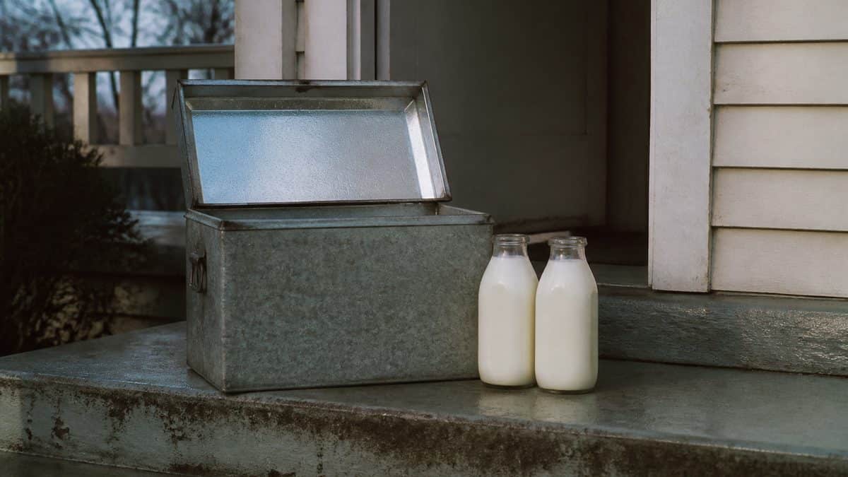 12 Things Every Kid Who Grew Up With a Milkman Remembers 5 Galvanized insulated milk box on a porch