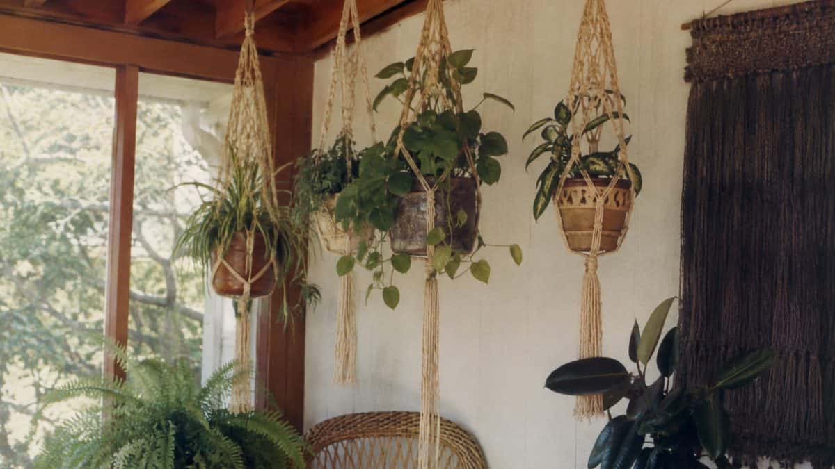 Retro Home Decorations That Are Surprisingly Valuable Now 12 Real macramé plant hangers with authentic knot work