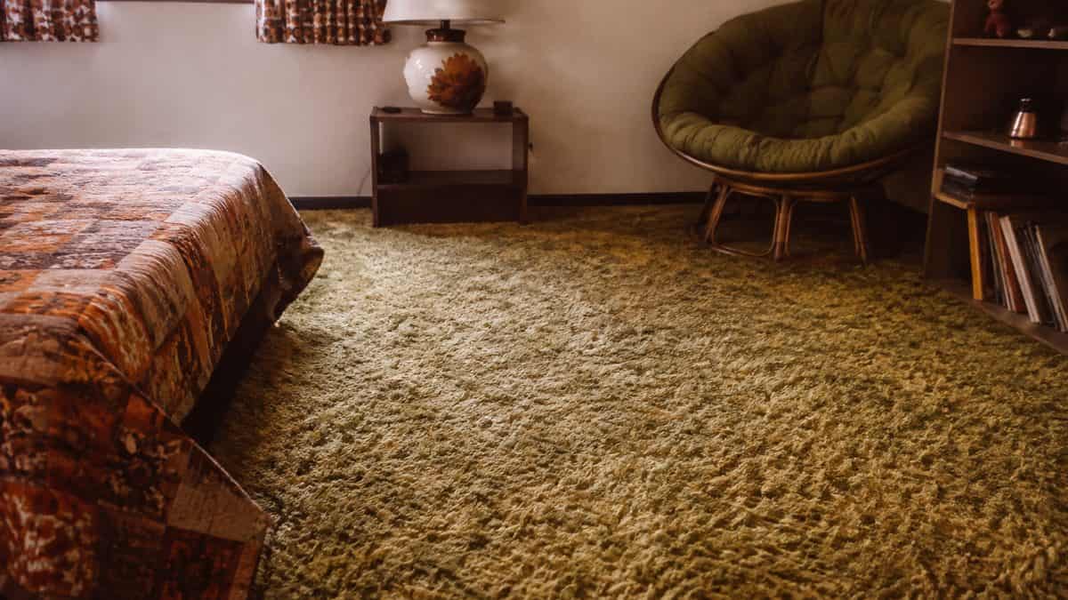 16 Things Every Kid Had in Their Bedroom in the '70s 5 1970s room featuring shag carpeting