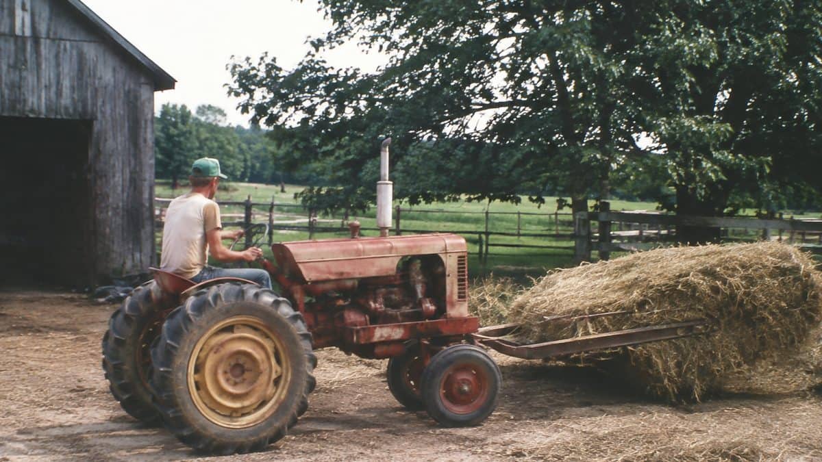15 Summer Jobs That Taught Us More Than Any Internship 5 Farm work