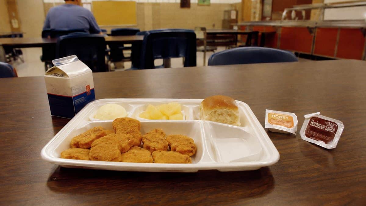 School lunch chicken nuggets with legible condiment packets