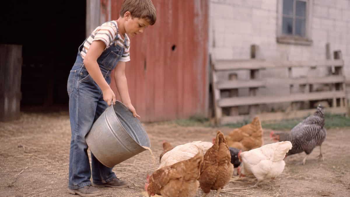 Parenting Practices from the Past That Would Be Illegal Today 8 Child doing farm chores.