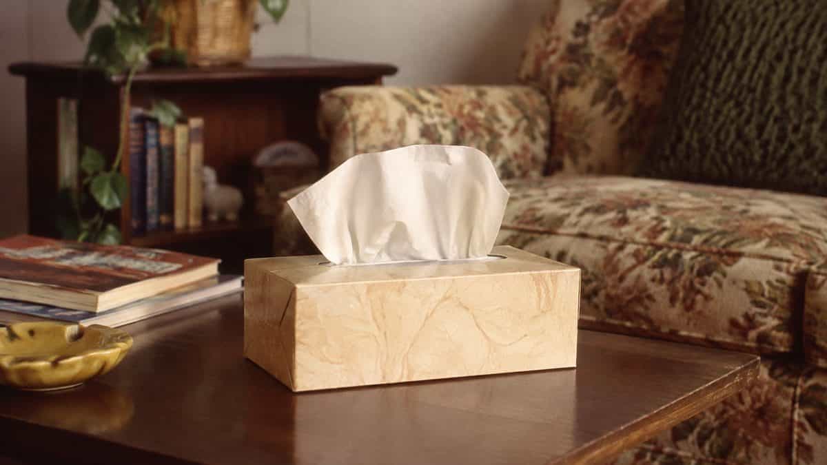 16 Essential Items Mom Always Carried That Saved the Day 3 Vintage tissue box on a table