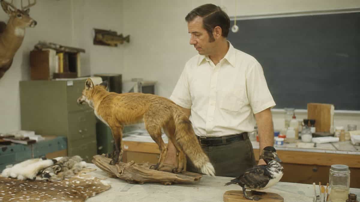 Biology class or taxidermy demonstration