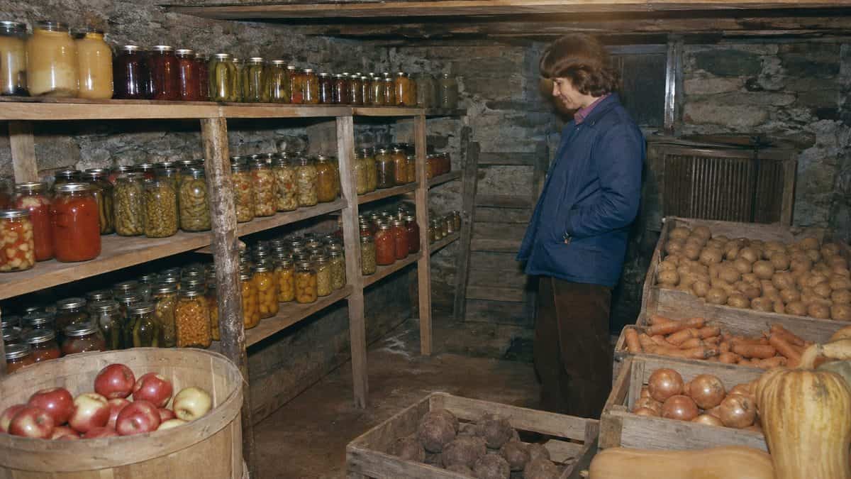 Household Skills Worth Relearning That Could Save You Thousands 10 Well-stocked root cellar