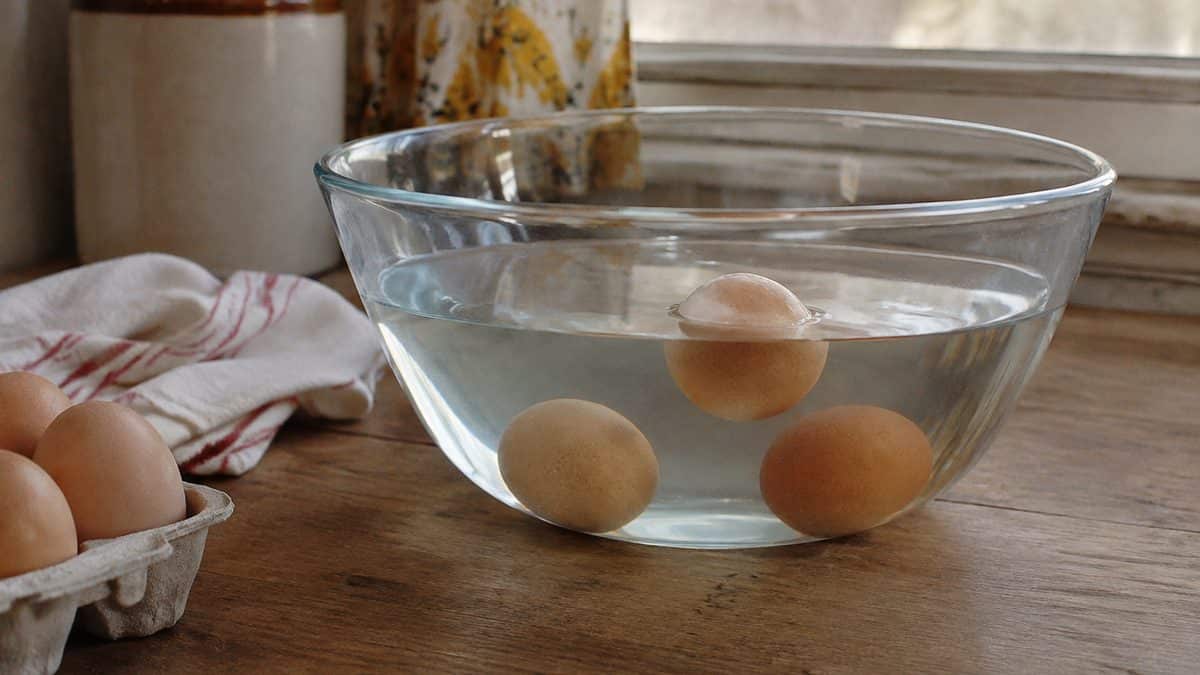 15 Basic Life Hacks from Grandma That Still Beat Modern Solutions 12 Eggs in a bowl of water demonstrating the float test.