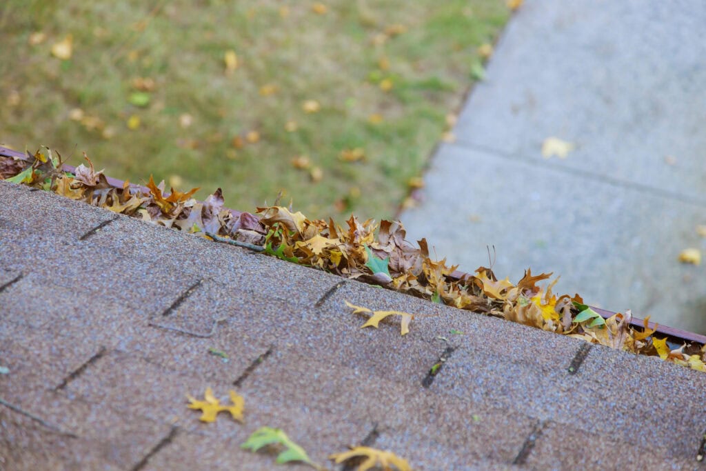 Remove debris from your roof