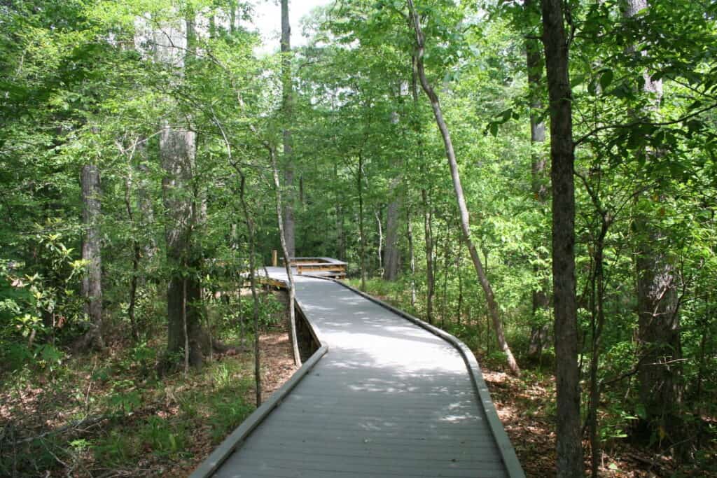 10 Unique Things About Slidell, Louisiana