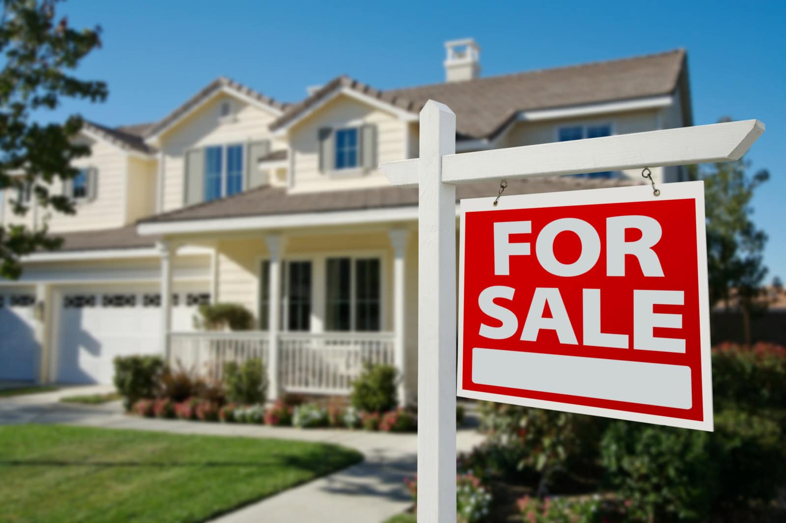 Top Real Estate Agent in Louisiana Gina Constantino