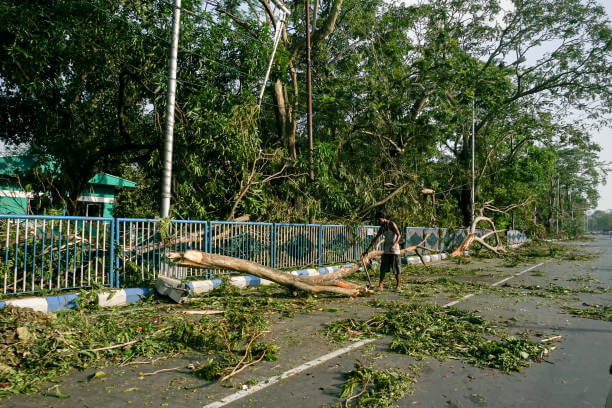 storm cleanup service