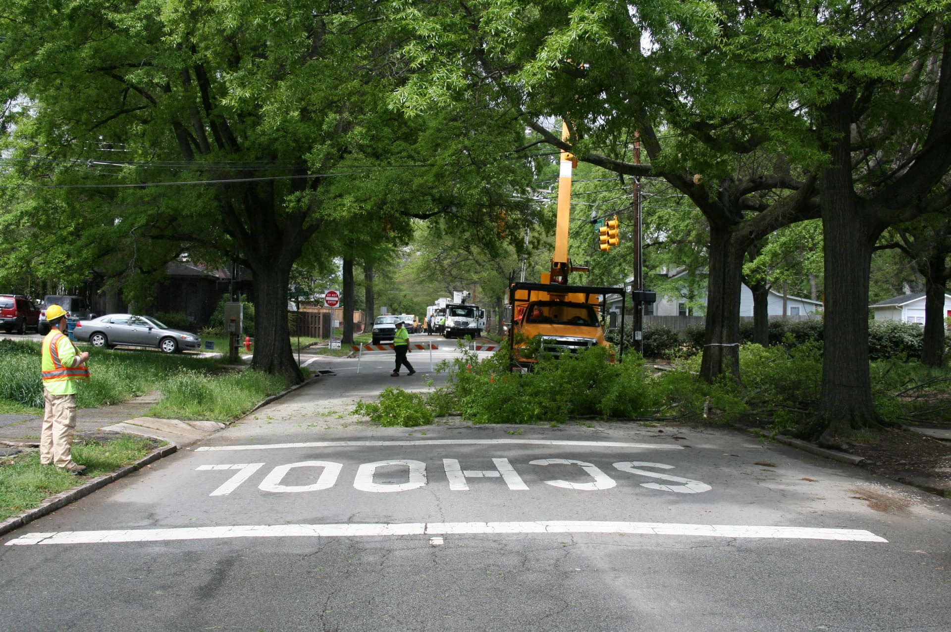 The Importance of Tree Removal