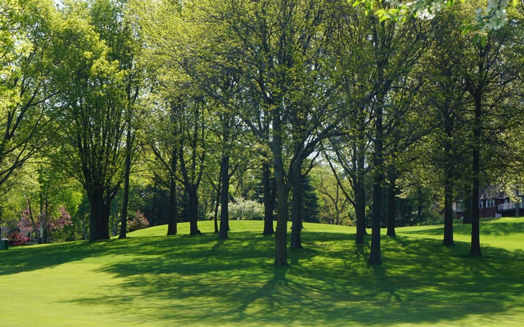 Land Development Services for a Picture-Perfect Property in Slidell, Louisiana