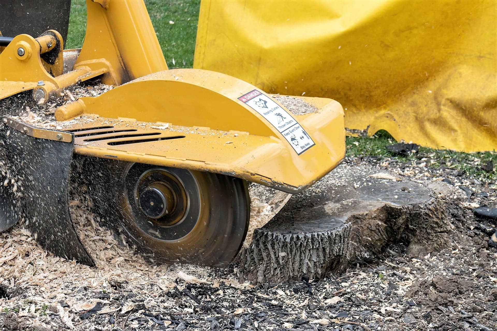 To Remove or Not Remove the Stump