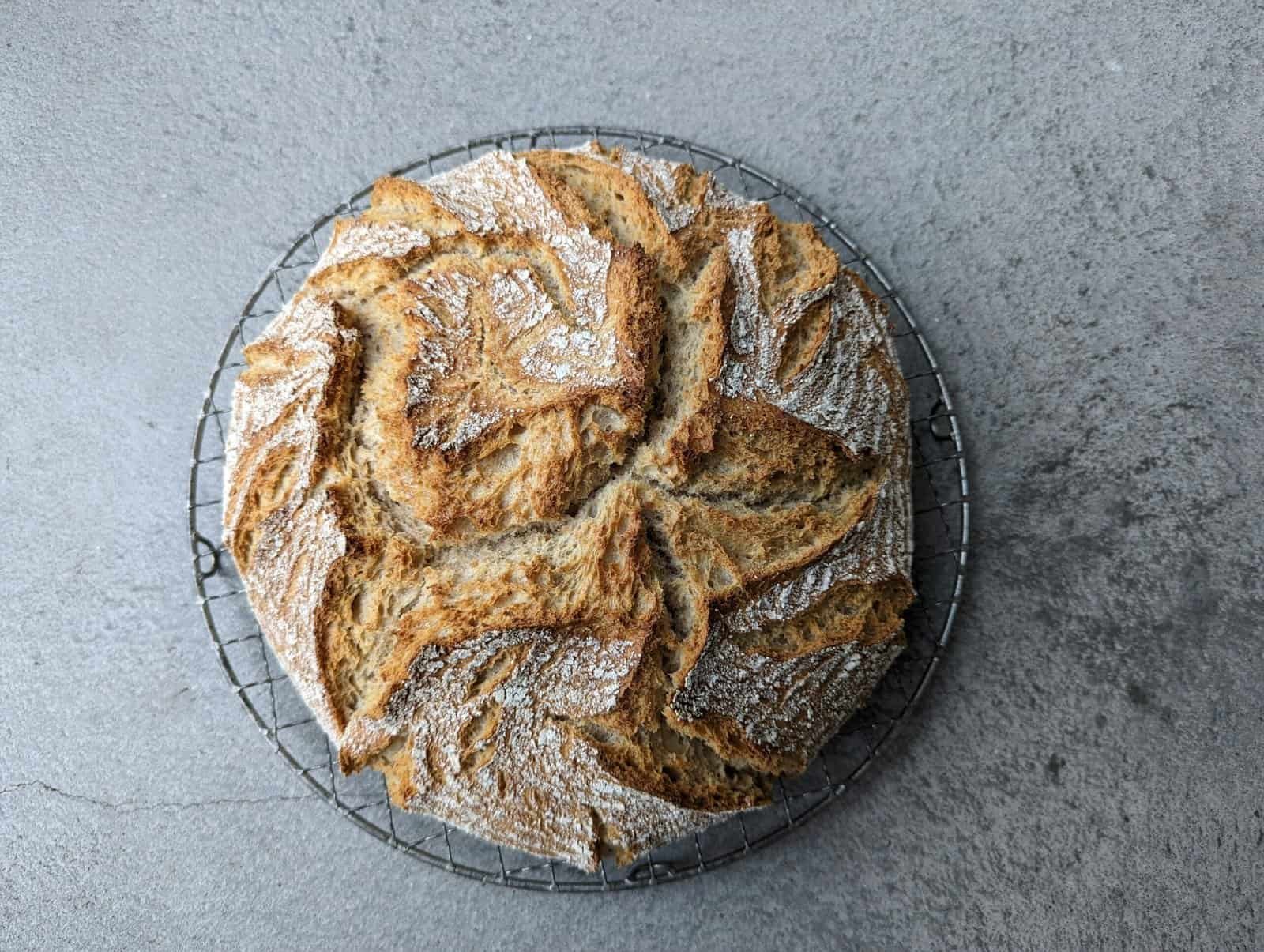 The Science of Baking: How Yeast Actually Works in Dough