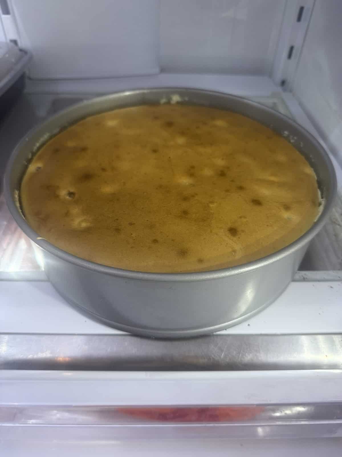 Springform Pan vs Cake Pan in 2026: Which Bakes Better