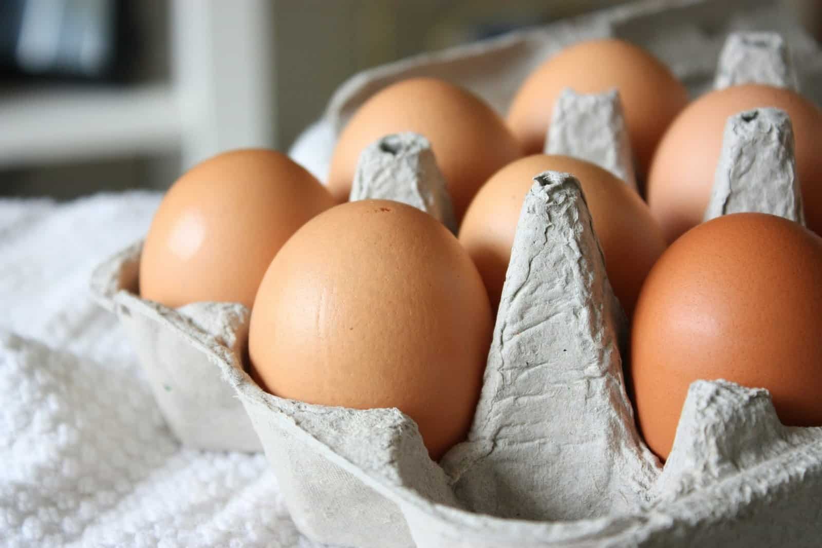 Why Eggs Cook Differently: Temperatures Explained