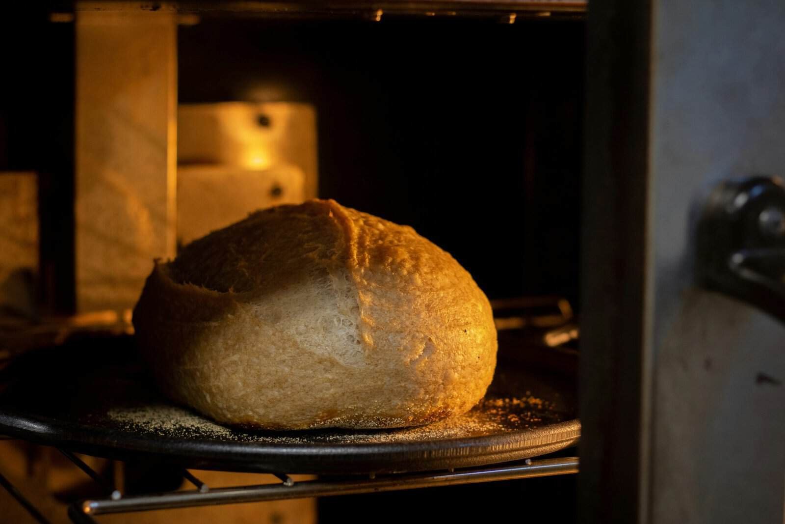 Bread Machine vs Oven Baking: Which One Is Right for You