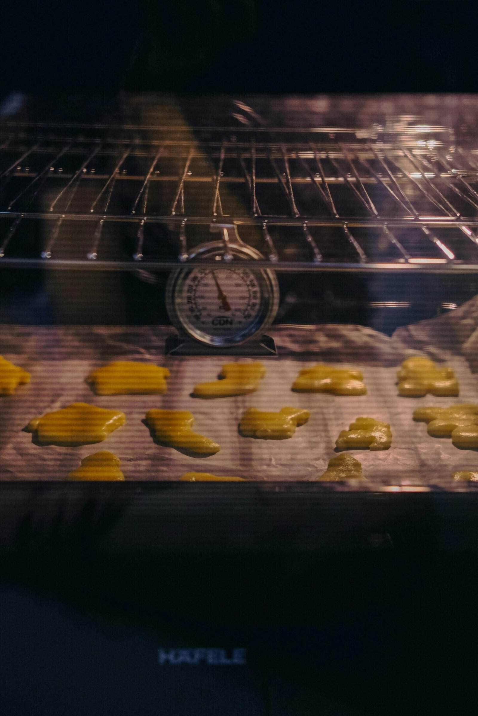 How to Clean a Food Dehydrator: A Simple Routine