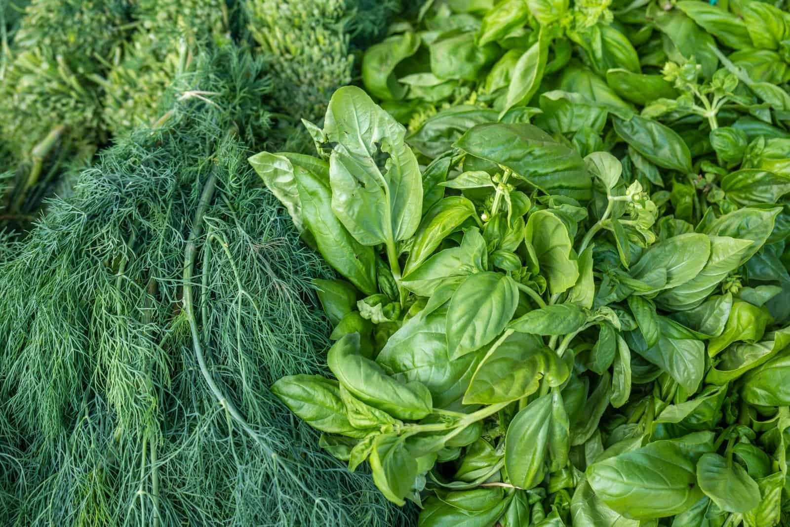 How to Store Fresh Herbs: So They Last Longer