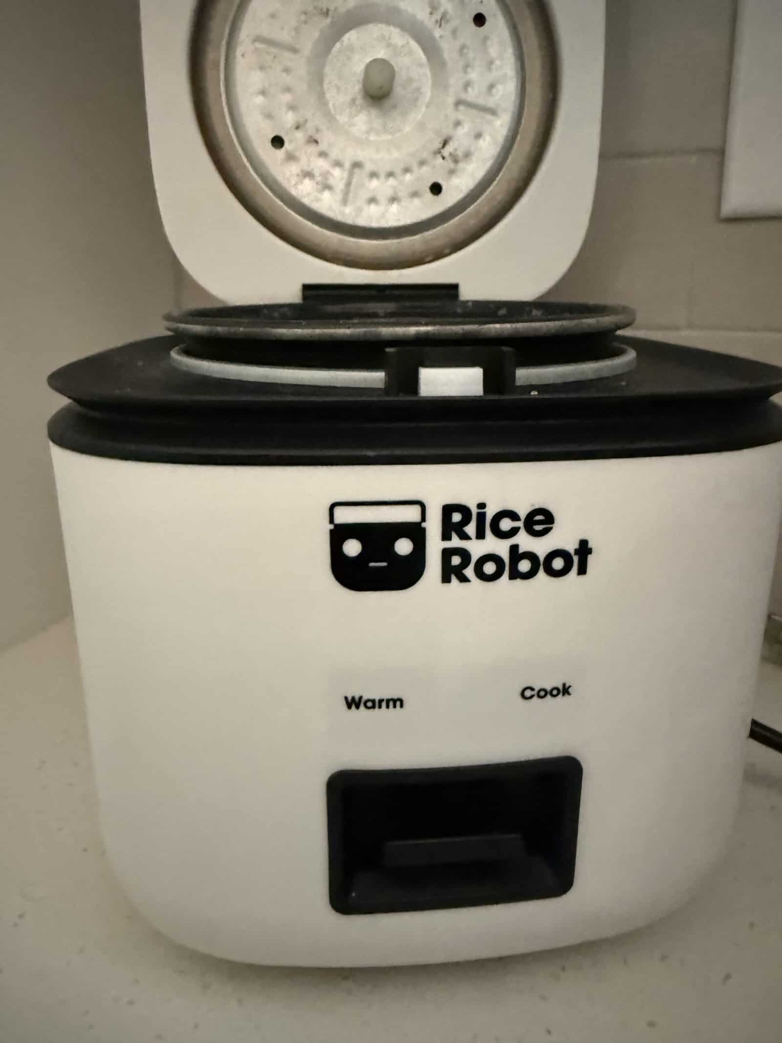 Rice Cooker vs Instant Pot: Which Should You Buy?
