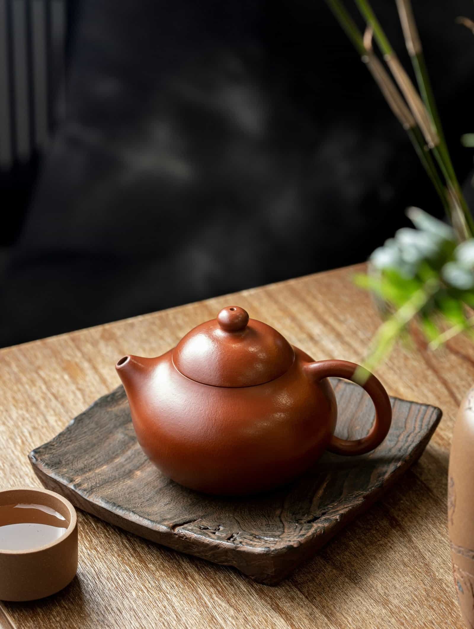 Best Teapots in 2026: Brew Better Loose-Leaf and Bagged Tea
