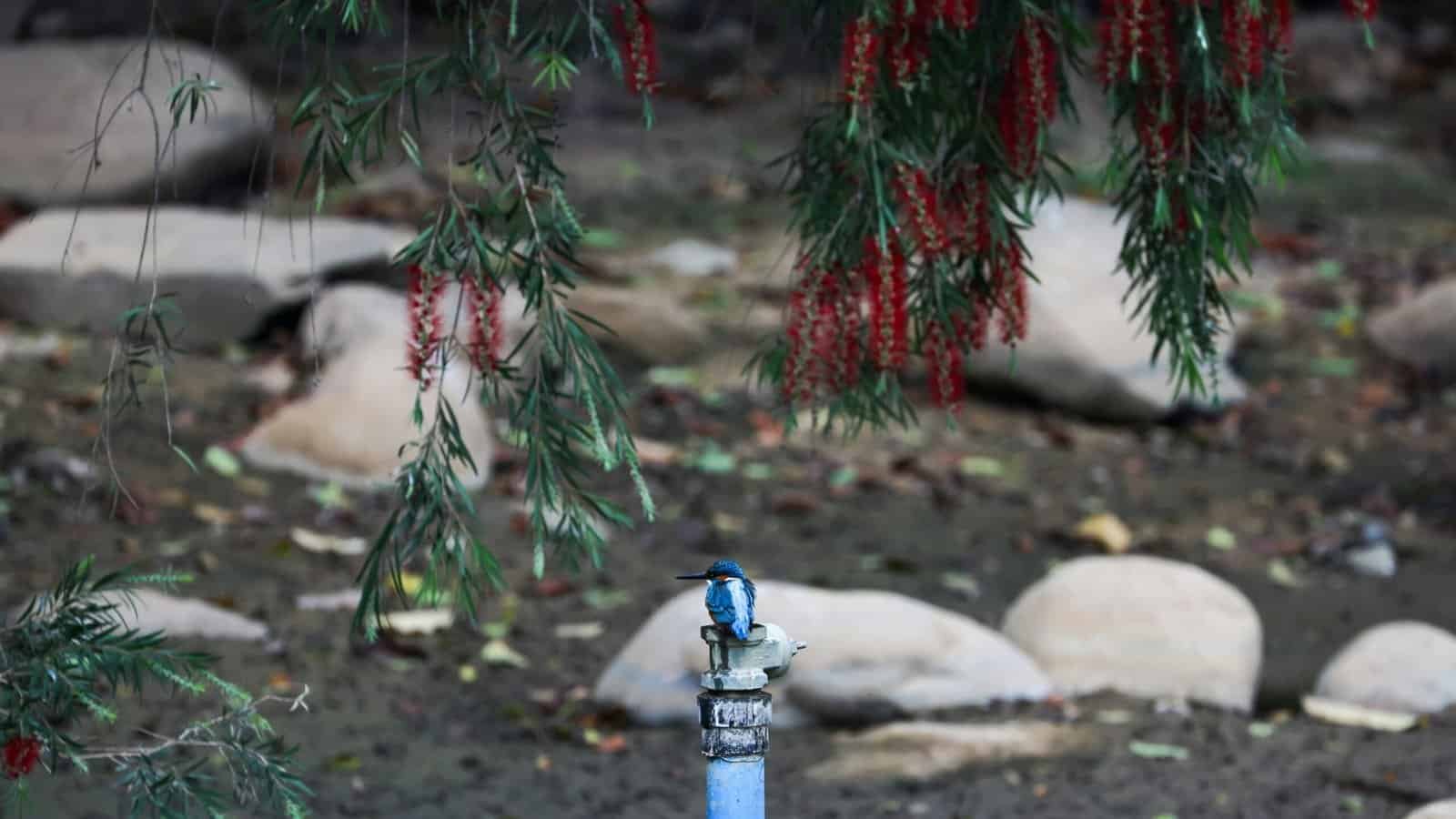 Best Smart Water Shutoff Valves in 2026: Stopping a Leak Before It Reaches the Floor
