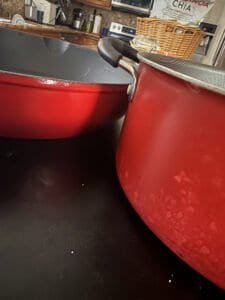 coated pot and braiser