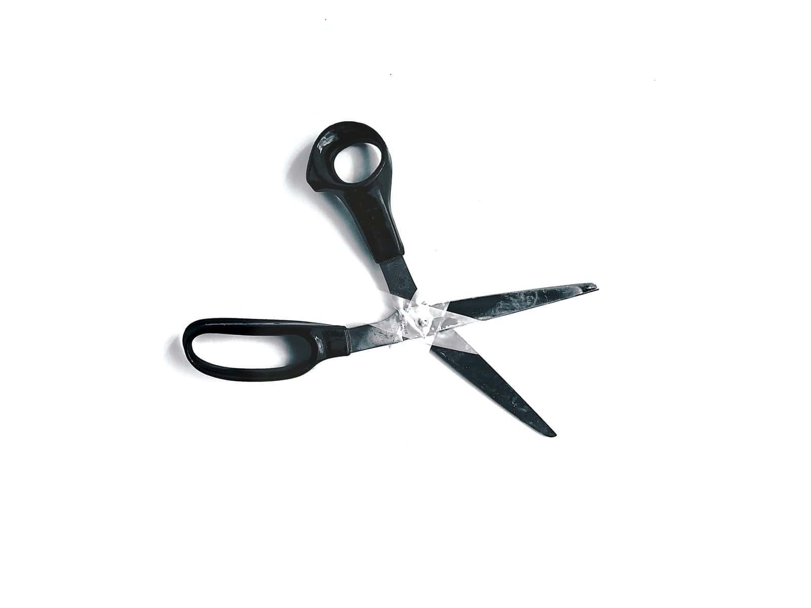 How to Sharpen Kitchen Shears: Why Knife Technique Does Not Work